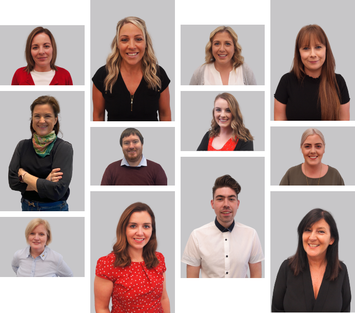 Meet the Team
